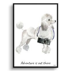 Adventure is out there White poodle dog print illustration. Framed & un-framed wall art