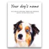 Australian Shepherd personalised canvas print - Peeping In Collection - Pre-stretched wall art ready to hang 1 dog paintings canvas australian shepherd front view white