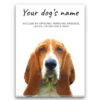Basset Hound personalised canvas print - Peeping In Collection - Pre-stretched wall art ready to hang 2 dog paintings canvas basset hound front view white