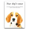 dog paintings canvas beagle front view white