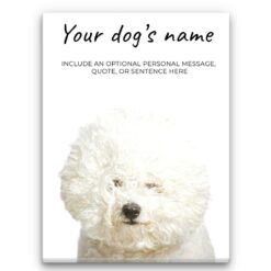 Bichon Frise personalised canvas print - Peeping In Collection -  Pre-stretched wall art ready to hang