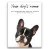 dog paintings canvas black and white french bulldog front view white