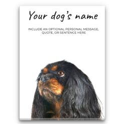 Black Cavalier King Charles Spaniel personalised canvas print - Peeping In Collection -  Pre-stretched wall art ready to hang