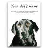 Black Labrador personalised canvas print - Peeping In Collection -  Pre-stretched wall art ready to hang