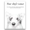 Border Collie personalised canvas print - Peeping In Collection - Pre-stretched wall art ready to hang 2 dog paintings canvas border collie front view white