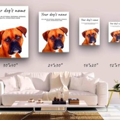 Boxer personalised canvas print - Peeping In Collection - Pre-stretched wall art ready to hang 10 dog paintings canvas boxer canvas size comparison