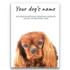 Brown Cavalier King Charles Spaniel personalised canvas print - Peeping In Collection -  Pre-stretched wall art ready to hang