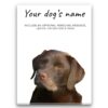 dog paintings canvas brown labrador front view white