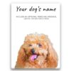 Brown poodle personalised canvas print - Peeping In Collection - Pre-stretched wall art ready to hang 1 dog paintings canvas brown poodle front view white