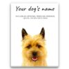 Cairn Terrier personalised canvas print - Peeping In Collection - Pre-stretched wall art ready to hang 1 dog paintings canvas cairn terrier front view white