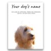 Cockapoo personalised canvas print - Peeping In Collection - Pre-stretched wall art ready to hang 2 dog paintings canvas cockapoo front view white