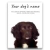 Cocker Spaniel personalised canvas print - Peeping In Collection - Pre-stretched wall art ready to hang 2 dog paintings canvas cocker spaniel front view white