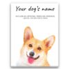 Corgi personalised canvas print - Peeping In Collection - Pre-stretched wall art ready to hang 2 dog paintings canvas corgi front view white