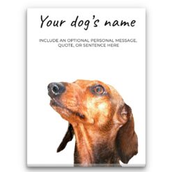 Dachshund personalised canvas print - Peeping In Collection -  Pre-stretched wall art ready to hang