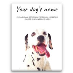 Dalmatian personalised canvas print - Peeping In Collection -  Pre-stretched wall art ready to hang