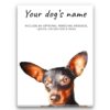 dog paintings canvas doberman front view white