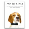 dog paintings canvas english pointer front view white
