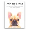 dog paintings canvas french bulldog front view white