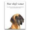 Great Dane personalised canvas print - Peeping In Collection - Pre-stretched wall art ready to hang 2 dog paintings canvas great dane front view white