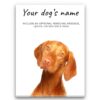 Hungarian Vizsla personalised canvas print - Peeping In Collection - Pre-stretched wall art ready to hang 2 dog paintings canvas hungarian vizla front view white