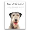 Irish Wolf Hound personalised canvas print - Peeping In Collection - Pre-stretched wall art ready to hang 1 dog paintings canvas irish wolf hound front view white