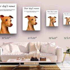 Italian greyhound personalised canvas print - Peeping In Collection - Pre-stretched wall art ready to hang 10 dog paintings canvas italian greyhound canvas size comparison