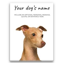 Italian greyhound personalised canvas print - Peeping In Collection -  Pre-stretched wall art ready to hang