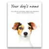 Jack Russell personalised canvas print - Peeping In Collection - Pre-stretched wall art ready to hang 1 dog paintings canvas jack russel front view white