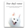 dog paintings canvas japanese spitz front view white