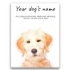 Labradoodle personalised canvas print - Peeping In Collection - Pre-stretched wall art ready to hang 1 dog paintings canvas labradoodle front view white