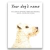 dog paintings canvas lakeland terrier front view white