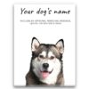 Malamute personalised canvas print - Peeping In Collection - Pre-stretched wall art ready to hang 1 dog paintings canvas malamute front view white