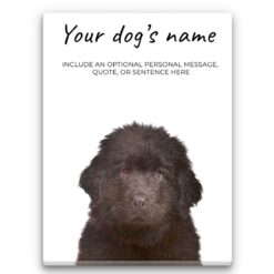Newfoundland personalised canvas print - Peeping In Collection -  Pre-stretched wall art ready to hang