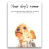 Norfolk Terrier personalised canvas print - Peeping In Collection - Pre-stretched wall art ready to hang 1 dog paintings canvas norfolk terrier front view white
