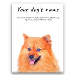 Pomeranian personalised canvas print - Peeping In Collection -  Pre-stretched wall art ready to hang