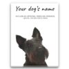 dog paintings canvas scottish terrier front view white