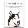 dog paintings canvas siberian husky front view white