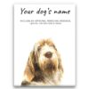 dog paintings canvas spinone italiano front view white