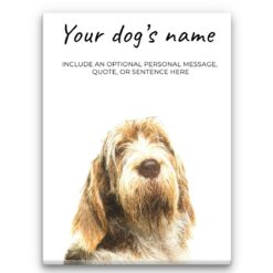 Spinone Italiano personalised canvas print - Peeping In Collection -  Pre-stretched wall art ready to hang