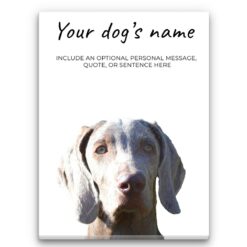 Weimaraner personalised canvas print - Peeping In Collection -  Pre-stretched wall art ready to hang