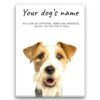 Wire Haired Fox Terrier personalised canvas print - Peeping In Collection - Pre-stretched wall art ready to hang 1 dog paintings canvas wire haired fox terrier front view white