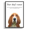 Basset Hound personalised dog print painting. Framed & un-framed wall art 1 dog paintings prints basset hound front view white