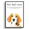 Beagle personalised dog print painting. Framed & un-framed wall art 1 dog paintings prints beagle front view white
