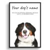 Bernese Mountain Dog personalised dog print painting. Framed & un-framed wall art
