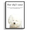 Bichon Frise personalised dog print painting. Framed & un-framed wall art 1 dog paintings prints bichon frise front view white
