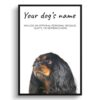 Black Cavalier King Charles Spaniel personalised dog print painting. Framed & un-framed wall art 1 dog paintings prints black cavalier king charles front view white