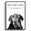 Black Labrador personalised dog print painting. Framed & un-framed wall art 1 dog paintings prints black labrador front view white