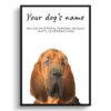 dog paintings prints bloodhound front view white