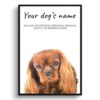 Brown Cavalier King Charles Spaniel personalised dog print painting. Framed & un-framed wall art 1 dog paintings prints brown cavalier king charles front view white