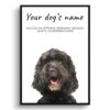 Brown Cockapoo personalised dog print painting. Framed & un-framed wall art 1 dog paintings prints brown cockapoo front view white